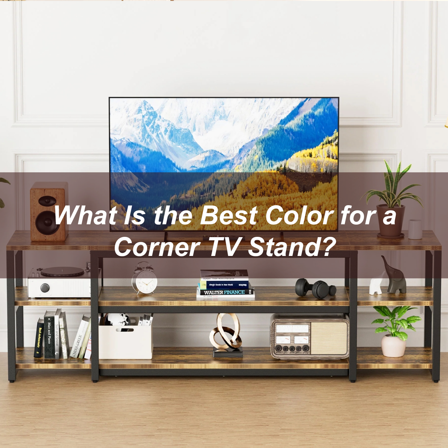 What Is the Best Color for a Corner TV Stand?