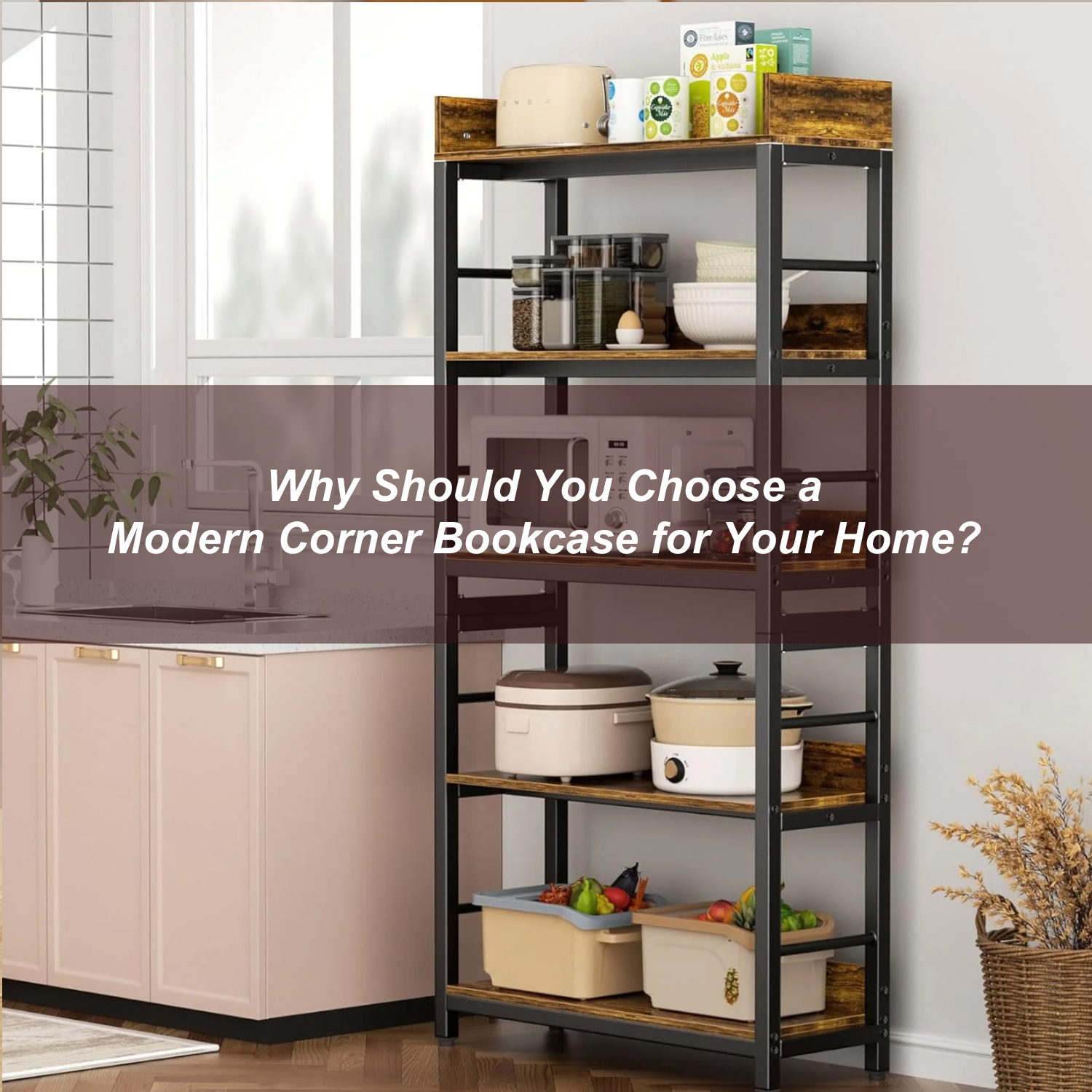 Why Should You Choose a Modern Corner Bookcase for Your Home?